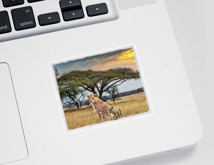 Lioness Sticker featuring the digital art Savannah Family by Norman Brule