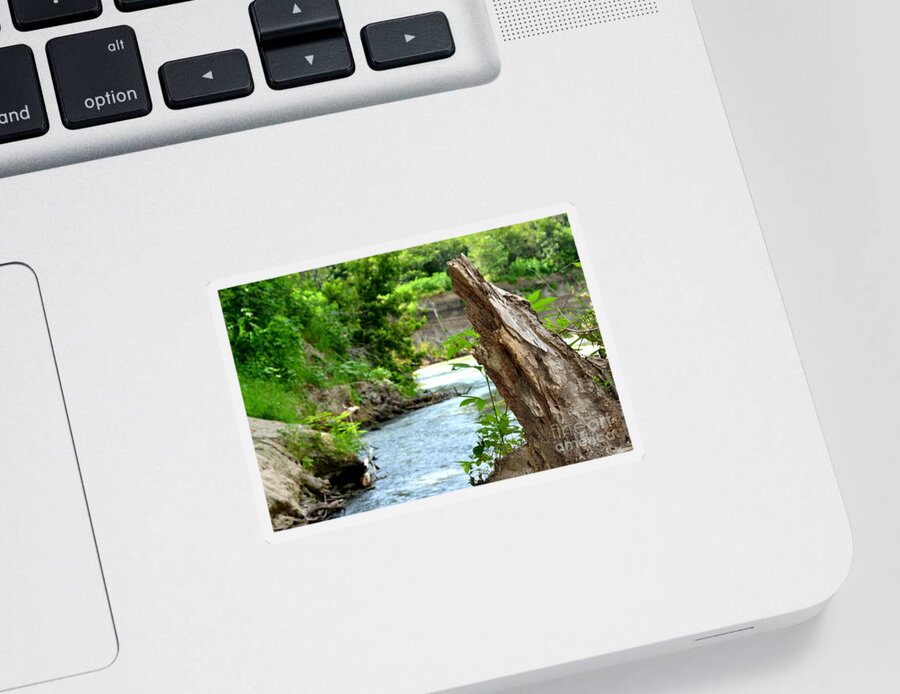 River Photography Sticker featuring the photograph Scenic River Bank by Expressions By Stephanie