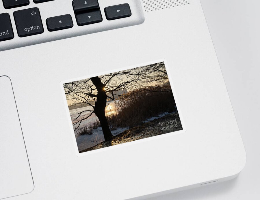 Dreamy Sticker featuring the photograph Winter sunset at Moritzburg Castle 2 by Adriana Mueller