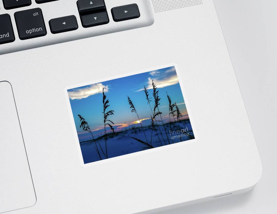 Sea Oats Sticker featuring the photograph Sea Oats at Sunset by Beachtown Views