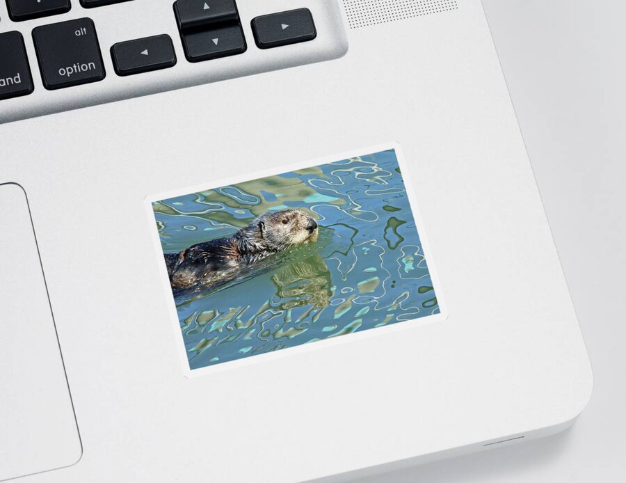  Sticker featuring the photograph Sea Otter #1 by Carla Brennan