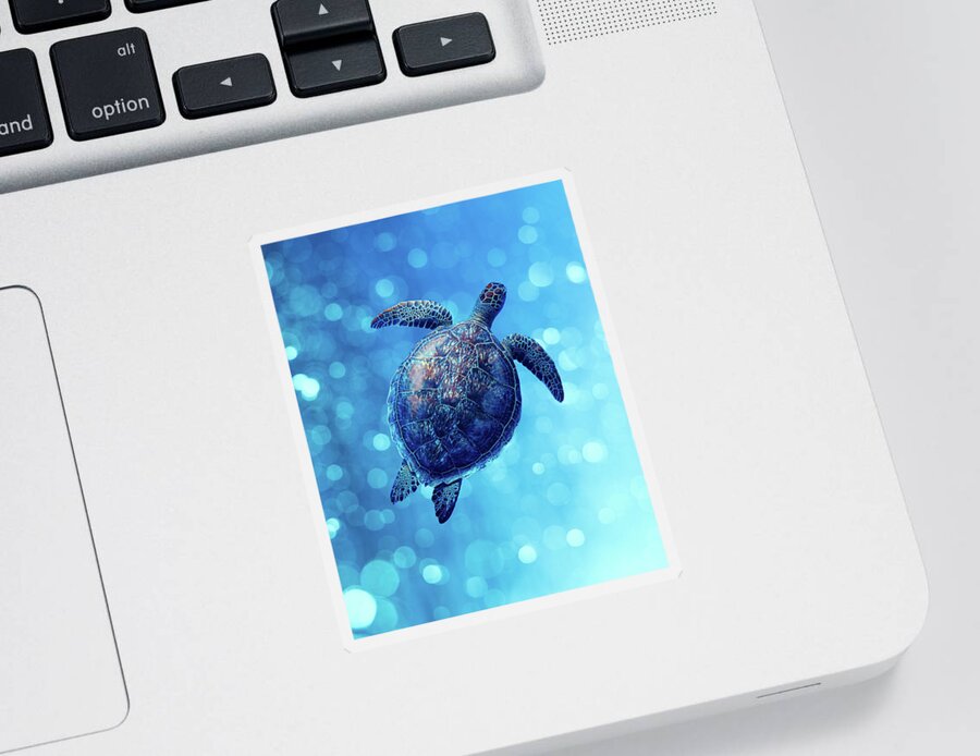 Animal Sticker featuring the photograph Sea Turtle Bubbly Blues by Laura Fasulo