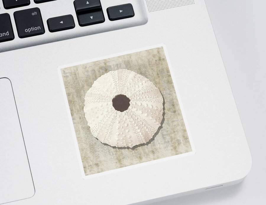 Shell Sticker featuring the painting Sea Urchin I with gold distressed background by Nikita Coulombe