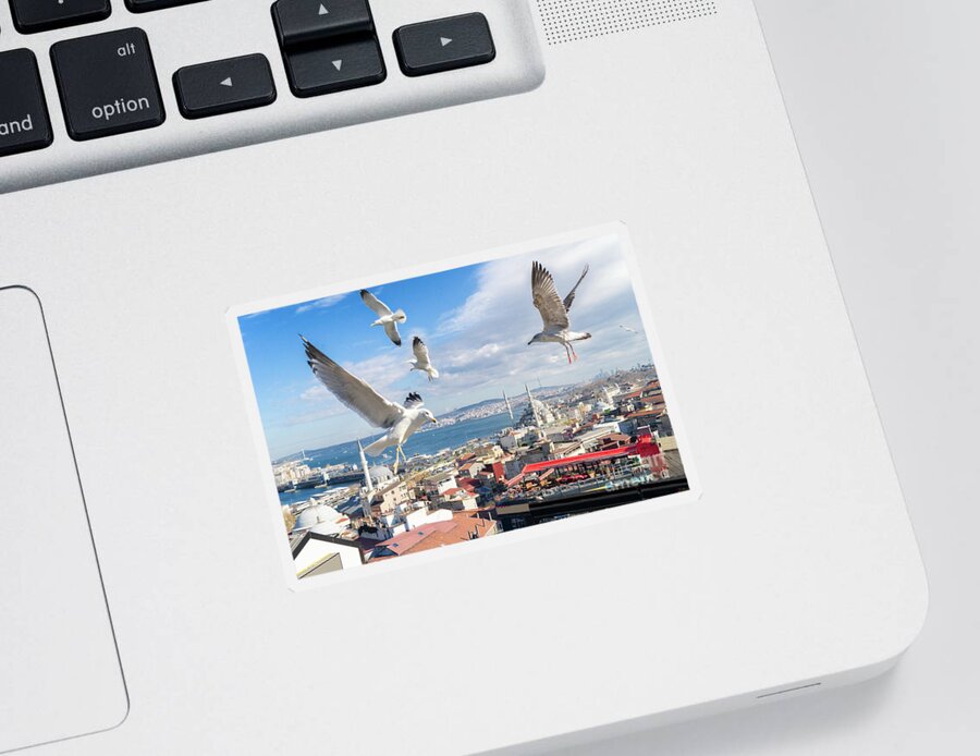 Turkey Sticker featuring the photograph Seagulls of Istanbul by Anastasy Yarmolovich