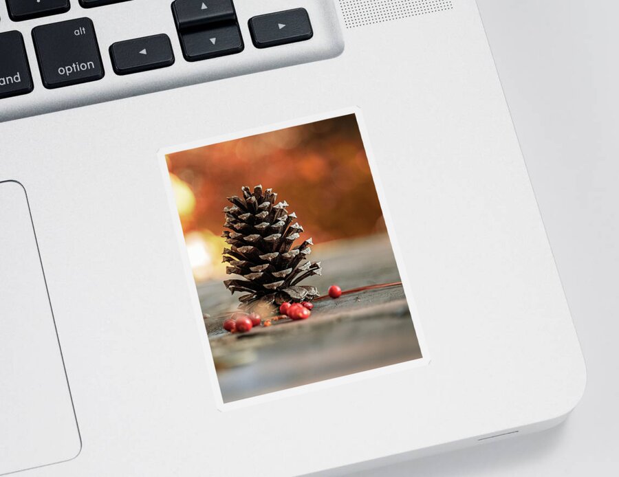 Pine Coke Sticker featuring the photograph Seasonal vibe by Rick Nelson