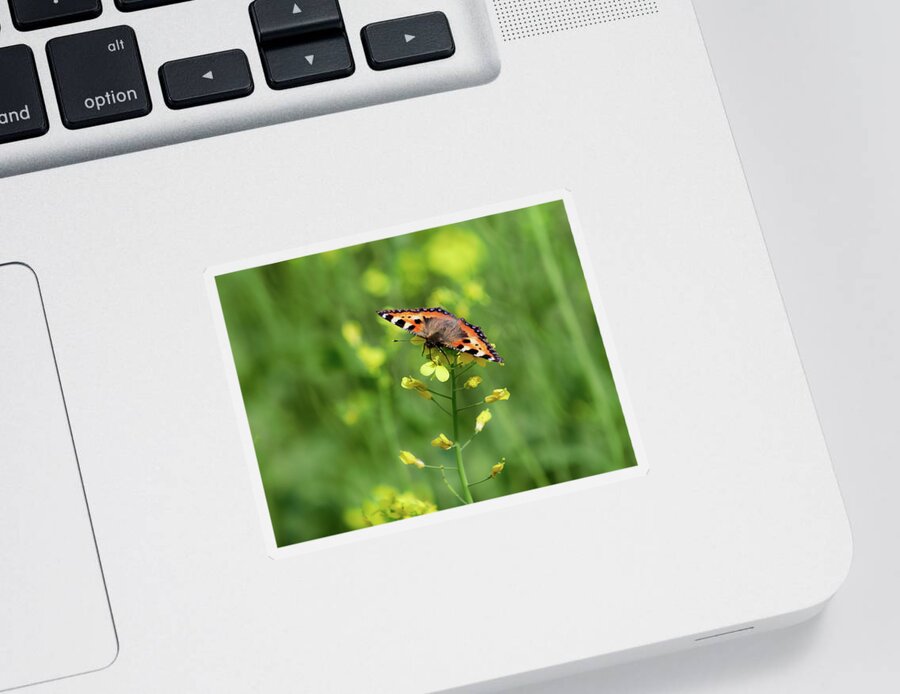 Aglais Urticae Sticker featuring the photograph Service of the nature. Small tortoiseshell by Jouko Lehto