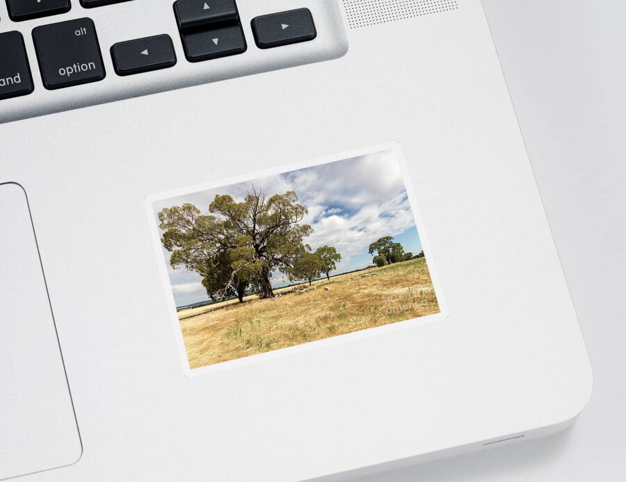 Paddock Sticker featuring the photograph Shade, anywhere you can get it by Linda Lees