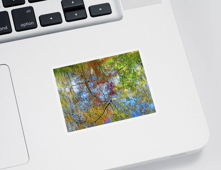 Pond Sticker featuring the photograph Shadows of Twigs II by Kathi Mirto