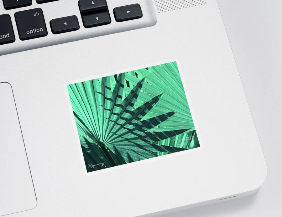 Nature Sticker featuring the photograph Shadows on Palm Leaves by Mariarosa Rockefeller