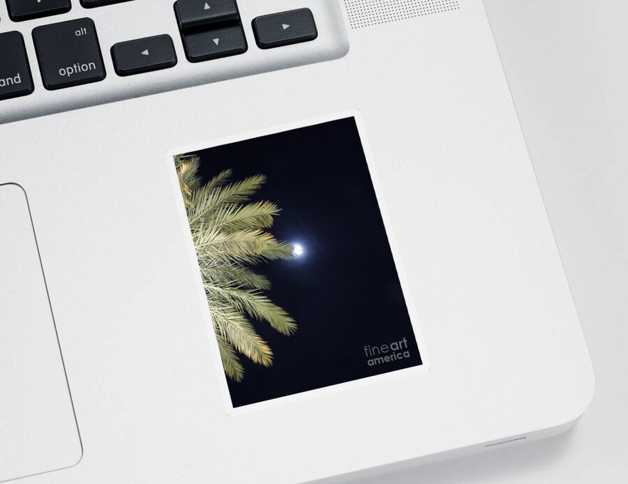 Palm Sticker featuring the photograph Shy Moon by World Reflections By Sharon