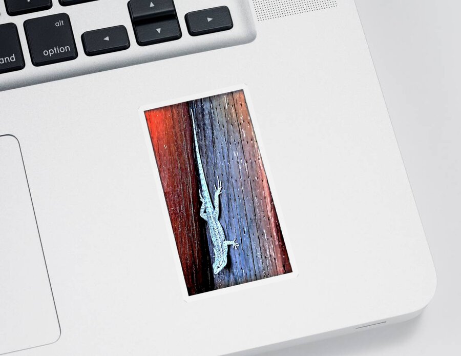 Waywardmuse Sticker featuring the photograph Side-Blotched Lizard by Judy Kennedy