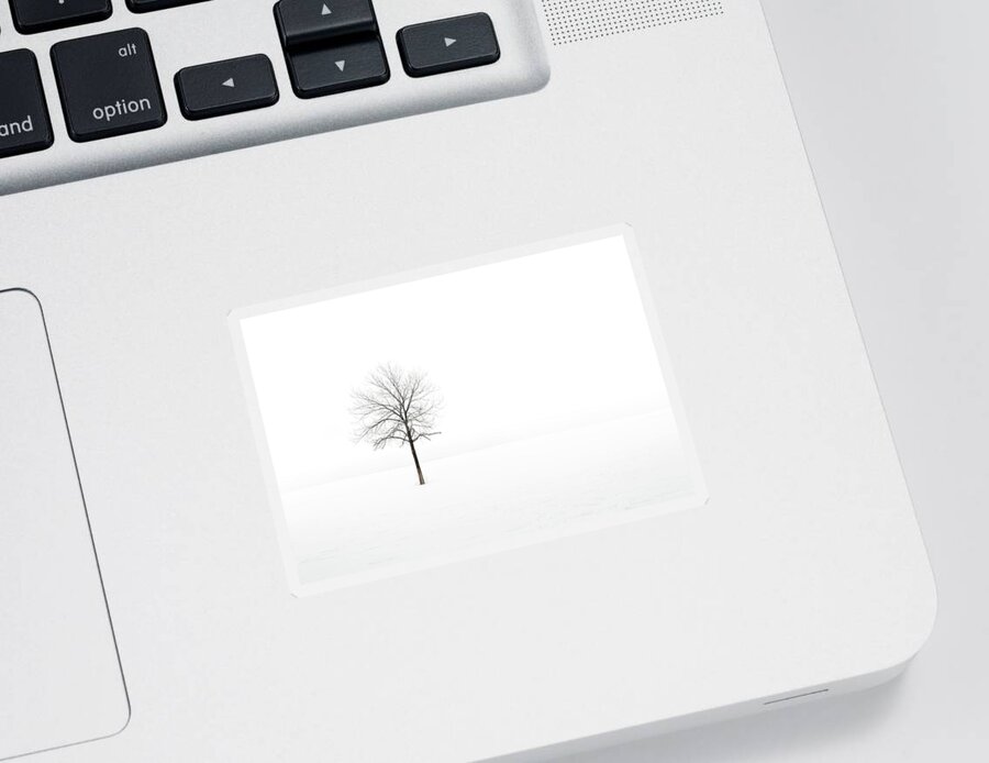 Tree Sticker featuring the photograph Silence by Scott Norris