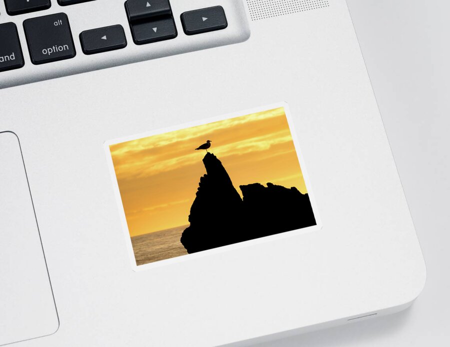 Beach Sticker featuring the photograph Silhouette of Seagull atop a Rock at Sunset by Matthew DeGrushe