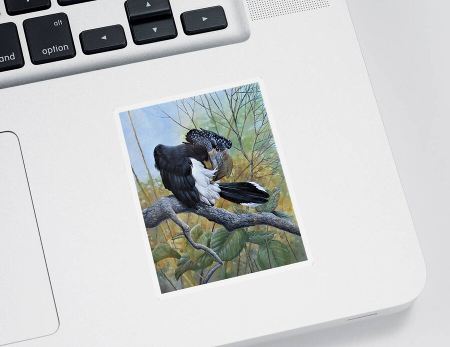 Silvery-cheeked Hornbill Sticker featuring the painting Silvery-cheeked Hornbill Preening by Barry Kent MacKay