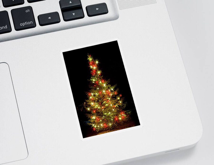 Christmas Tree Sticker featuring the photograph Simple Christmas Tree Delight by James BO Insogna