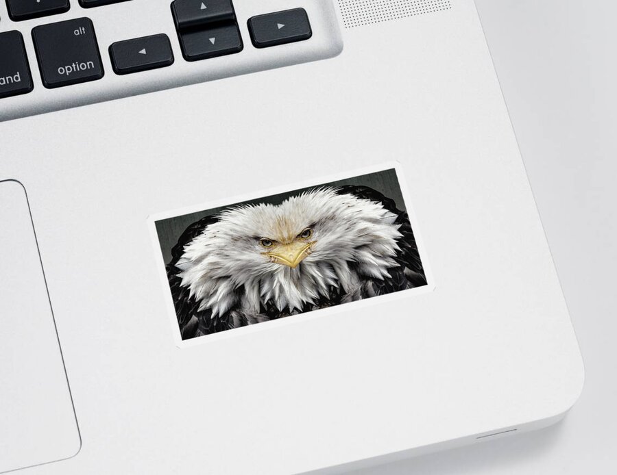 Powerful Sticker featuring the digital art Sinister Featherhead by Pelo Blanco Photo