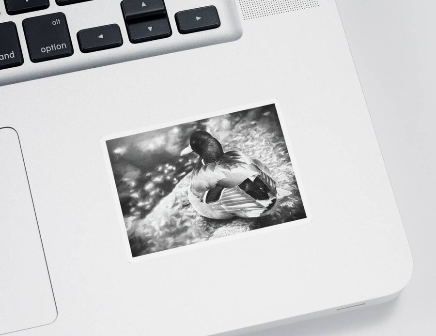 Duck Sticker featuring the photograph Sitting Duck Black and White by Carol Japp