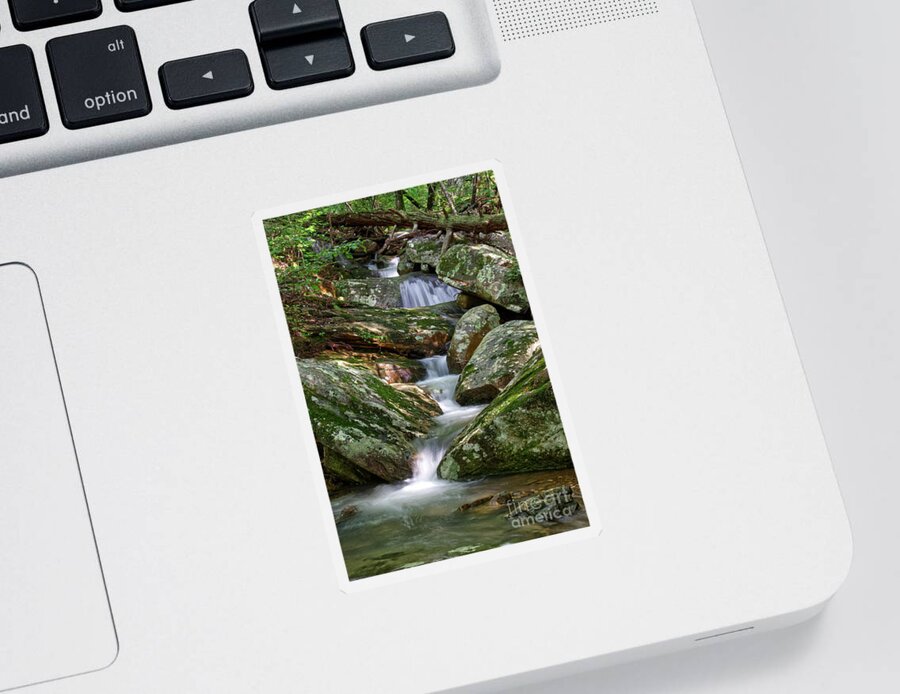 Morning Sticker featuring the photograph Small Cascades 2 by Phil Perkins