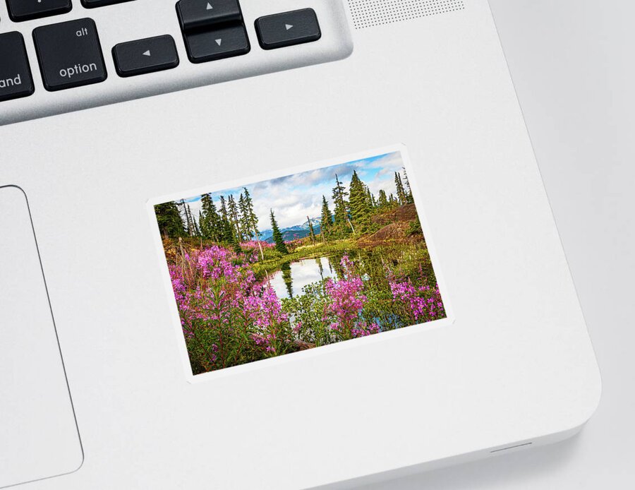 Landscapes Sticker featuring the photograph Small Mountain Pond by Claude Dalley