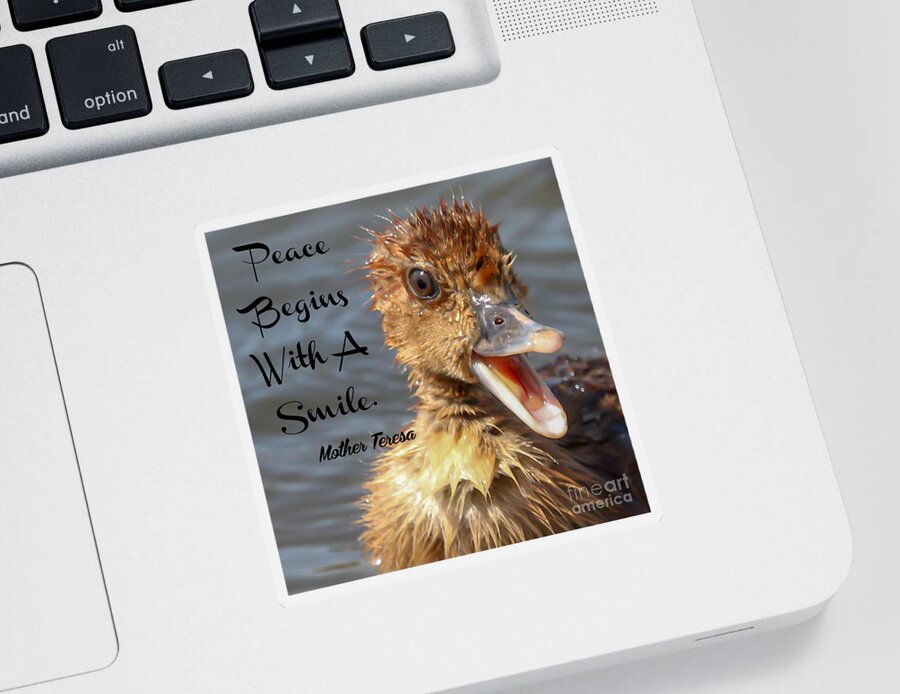 Duckling Sticker featuring the photograph Smile by Joanne Carey