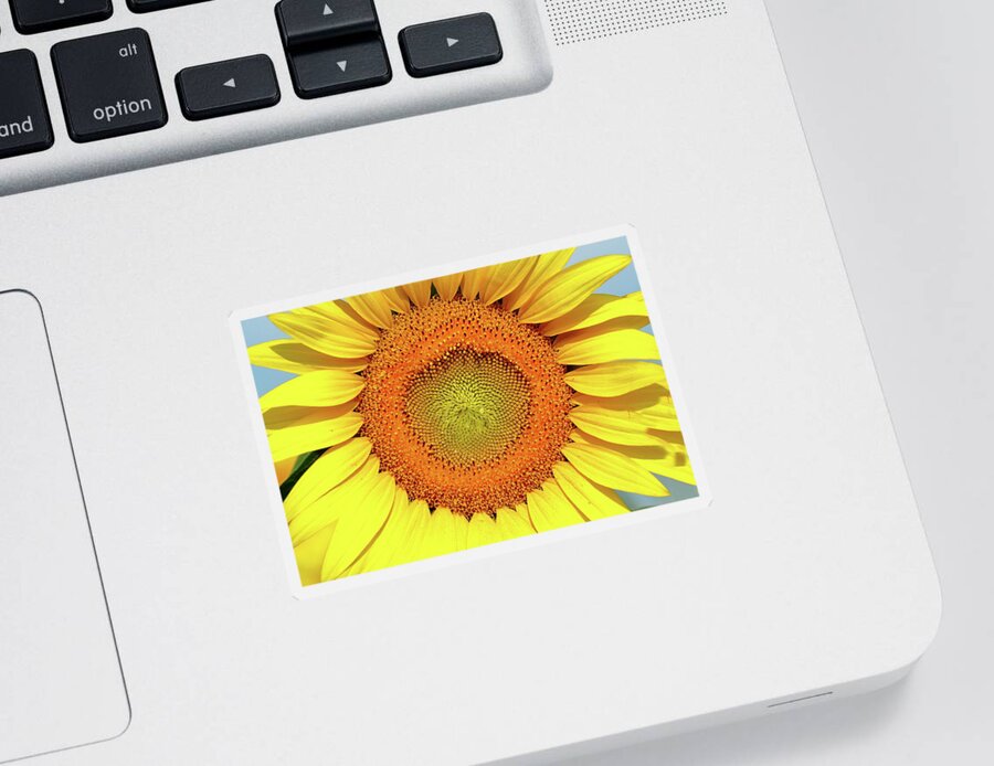 Sunflower Sticker featuring the photograph Smile by Lens Art Photography By Larry Trager