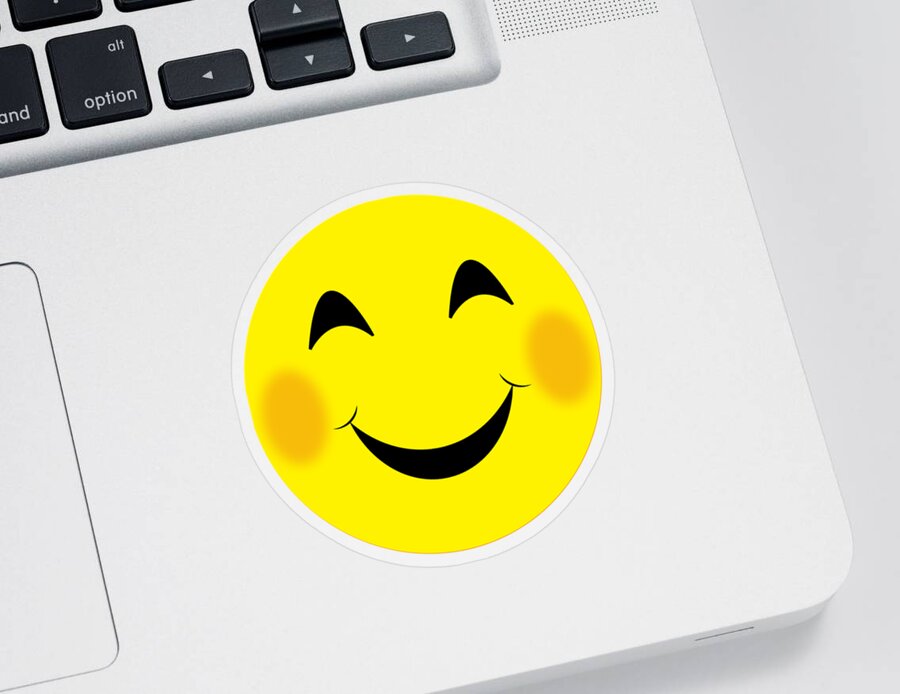Smiley Face Sticker featuring the digital art Smilee Face by Terri Waters