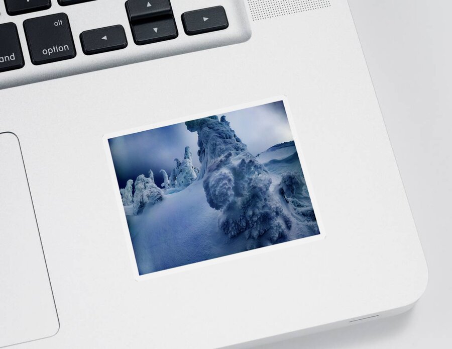 Tree Sticker featuring the photograph Snow Covered Trees 5 by Pelo Blanco Photo