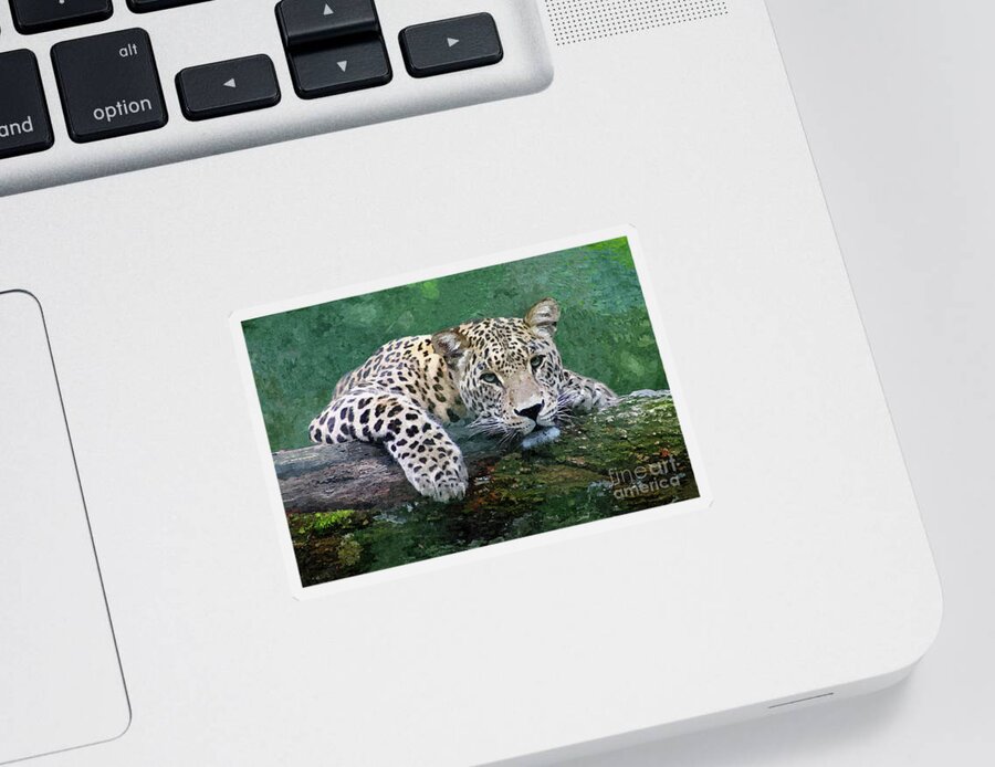 Snow Leopard Sticker featuring the digital art Snow Leopard by Denise Dundon