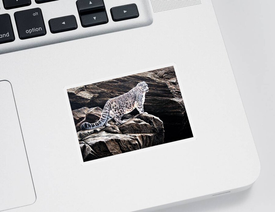 Snow Leopard Sticker featuring the painting Snow Leopard on rock by Alan M Hunt