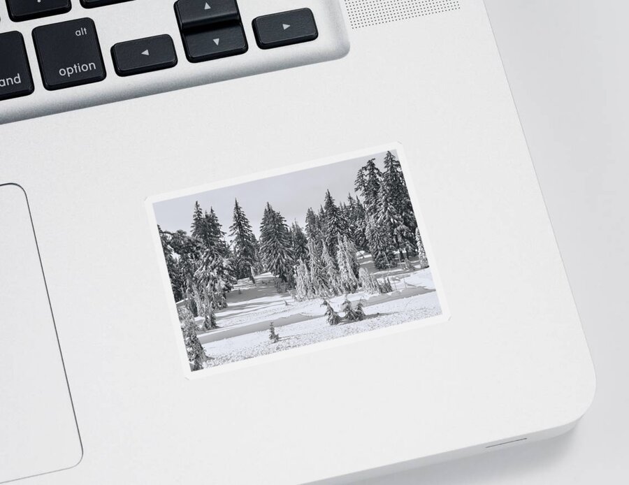 Black And White Pines Sticker featuring the photograph Snow Pines Black and White by Cathy Anderson