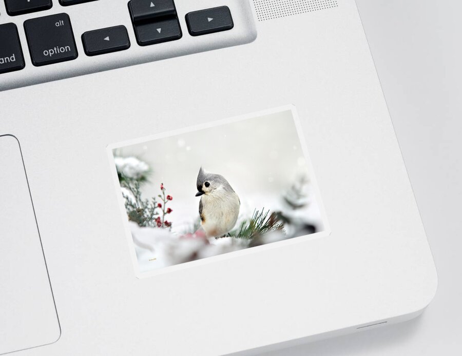 Birds Sticker featuring the photograph Snow White Tufted Titmouse by Christina Rollo