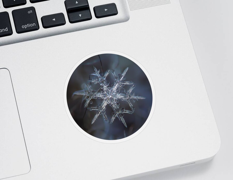 Snowflake Sticker featuring the photograph Snowflake photo - Rigel by Alexey Kljatov