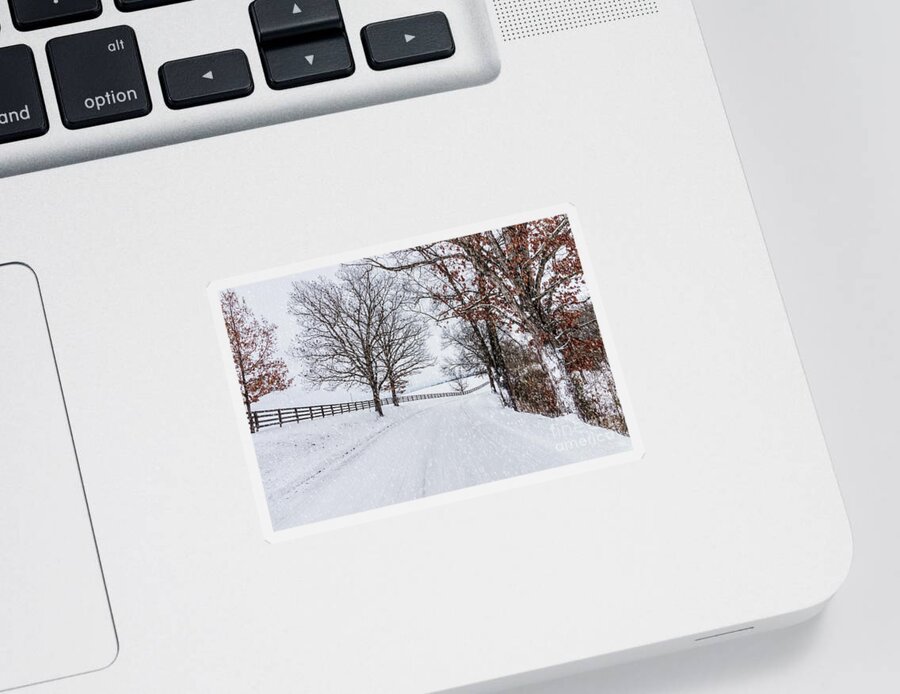 Winter Sticker featuring the photograph Snowy Country Drive by Jennifer White