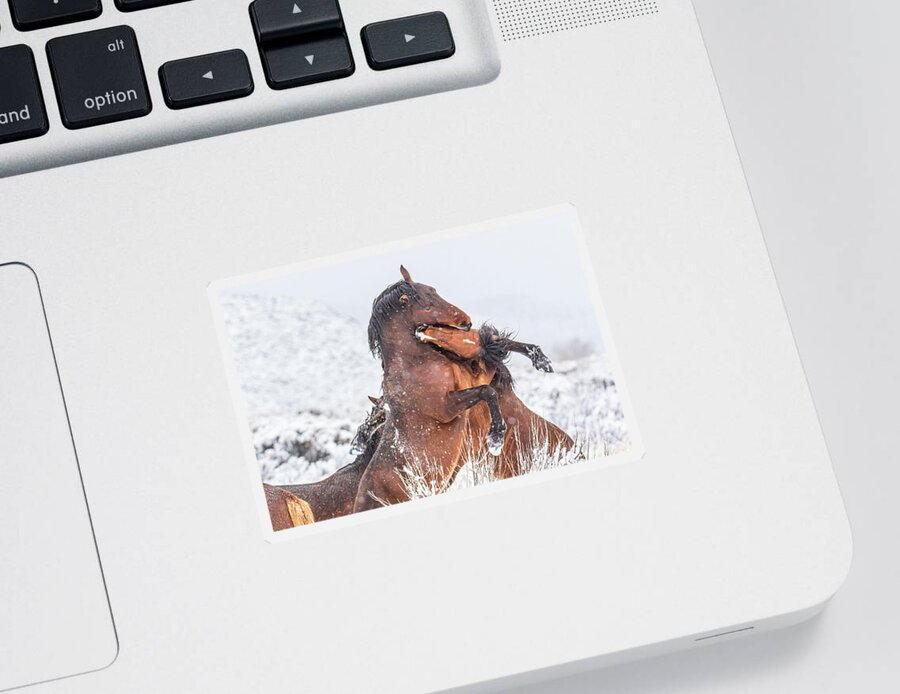 Nevada Sticker featuring the photograph Snowy Embrace by Marc Crumpler
