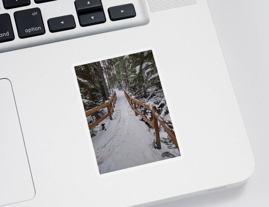 Landscape Sticker featuring the photograph Snowy pathway by Erin Mitchell