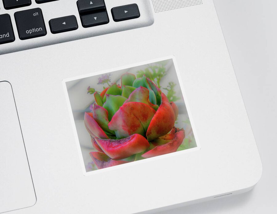 Botanical Sticker featuring the photograph Soft and Prickly at the Same Time by Marcy Wielfaert
