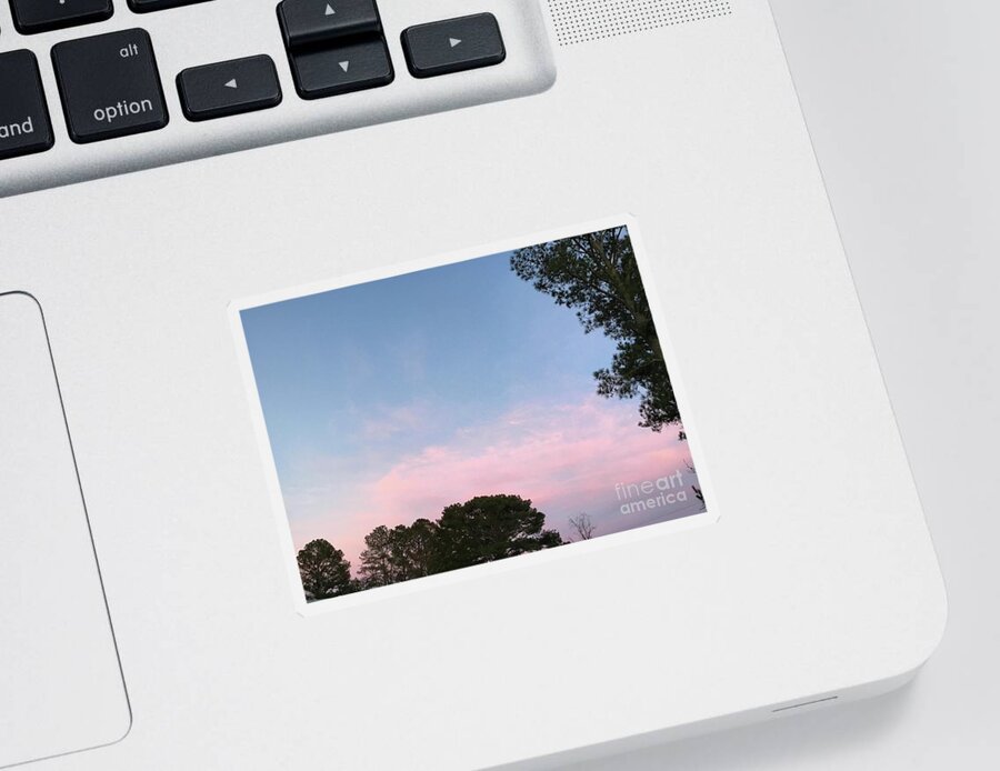 Sunset Sticker featuring the photograph Soft Pink Sunset by Catherine Wilson