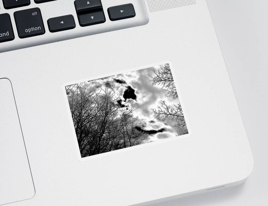 Black And White Sticker featuring the photograph Solarized winter sky and clouds by Alan Goldberg