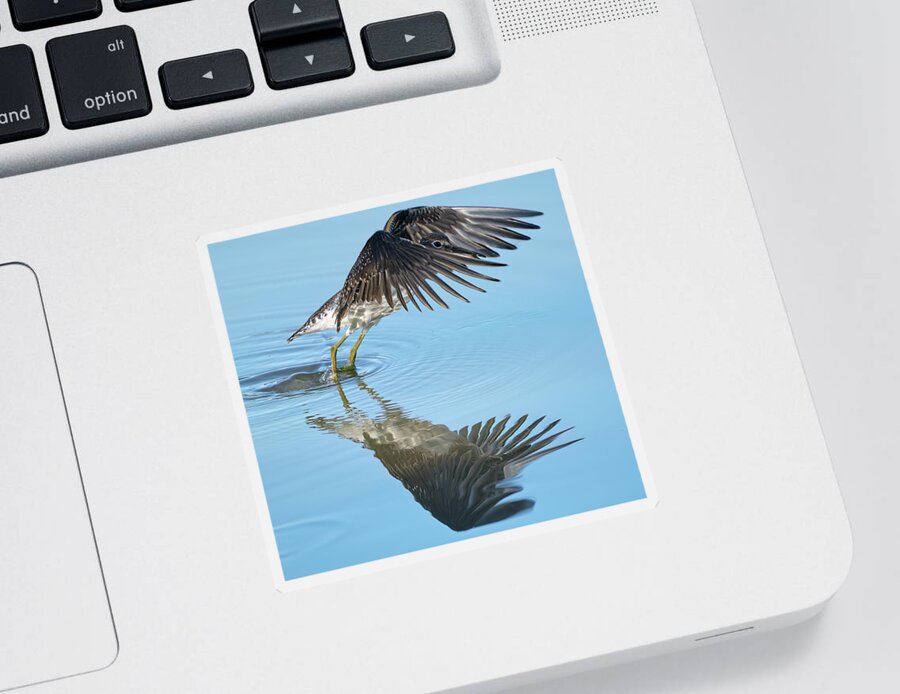 Chevalier Solitaire Sticker featuring the photograph Solitary sandpiper by Carl Marceau