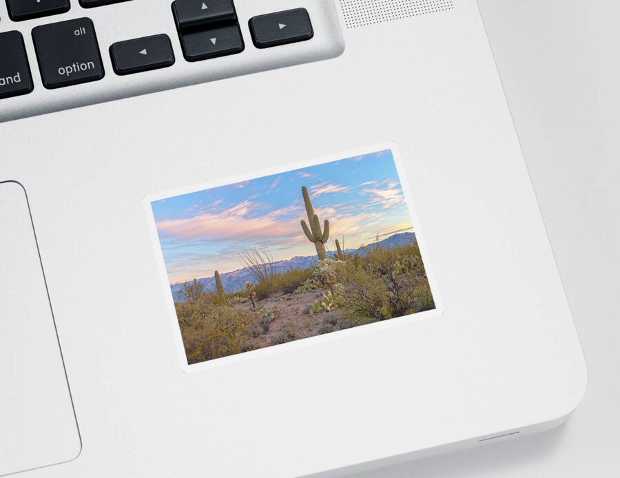 American Southwest Sticker featuring the photograph Sonoran Morning by Jonathan Nguyen