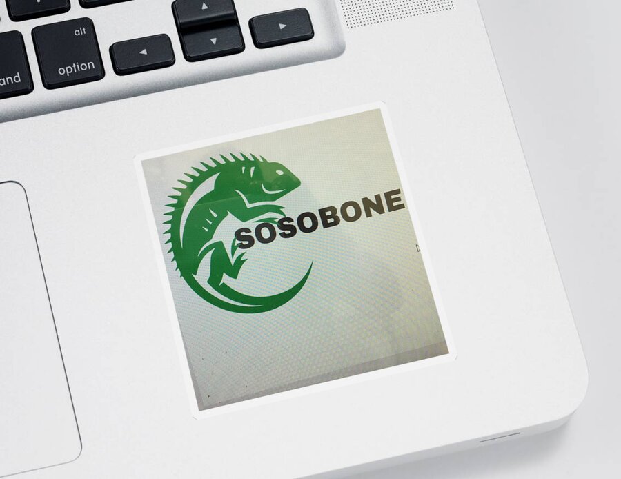  Sticker featuring the photograph Sosobone $ by Trevor A Smith