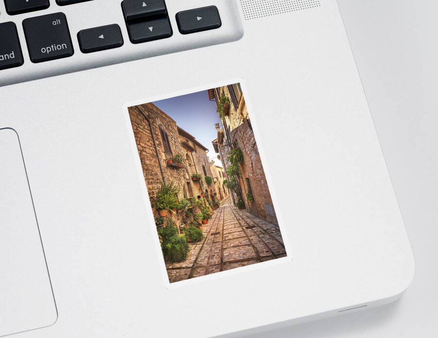 Spello Sticker featuring the photograph Spello, picturesque street and plants. Umbria by Stefano Orazzini
