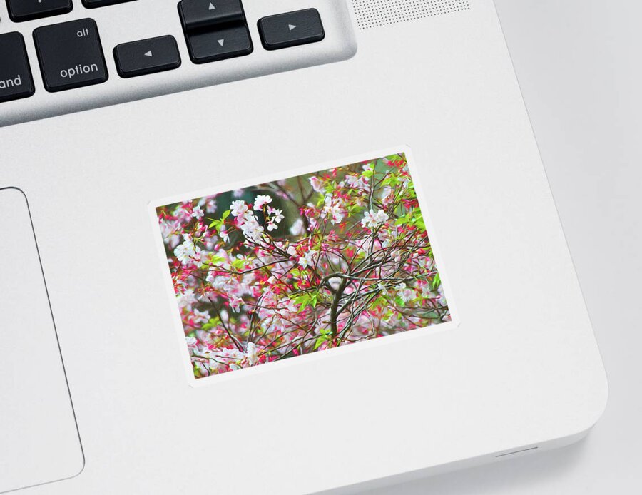 Blossom Sticker featuring the photograph Spring Blossoms by Bonnie Follett