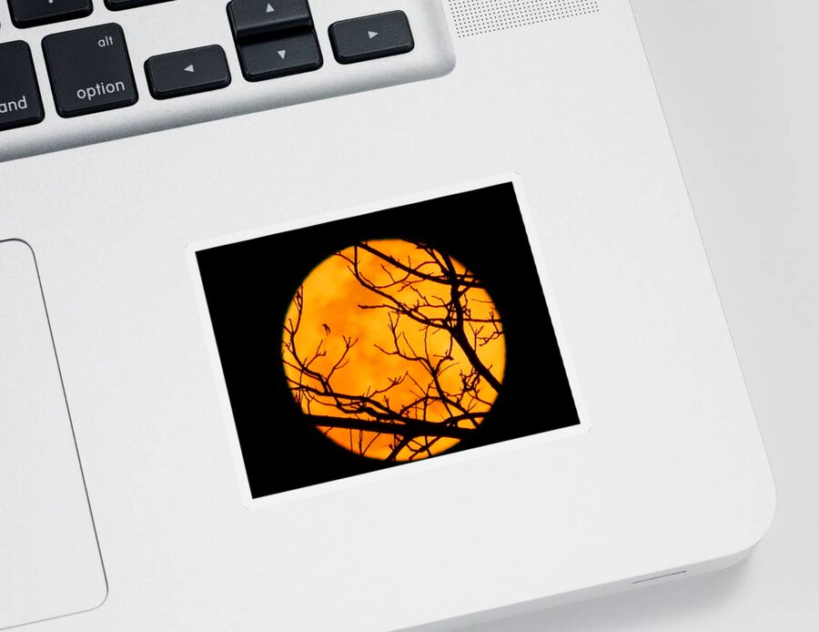 Moon Sticker featuring the photograph Spring Full Moon by Virginia White