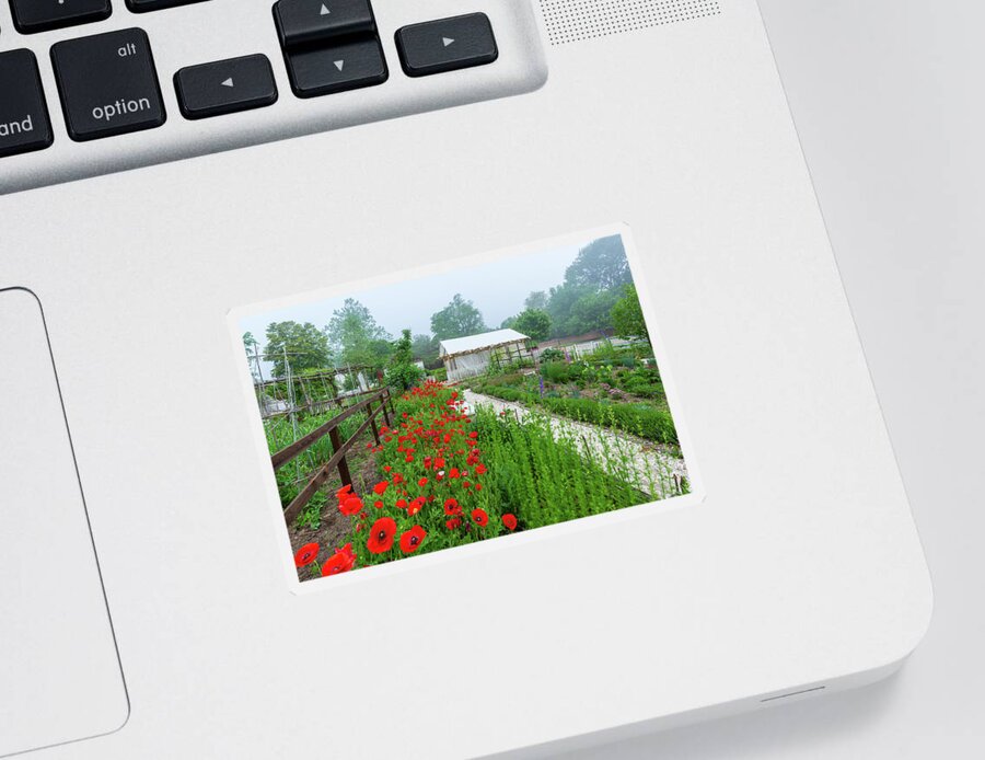 Poppies Sticker featuring the photograph Spring Morning at the Nursery by Rachel Morrison