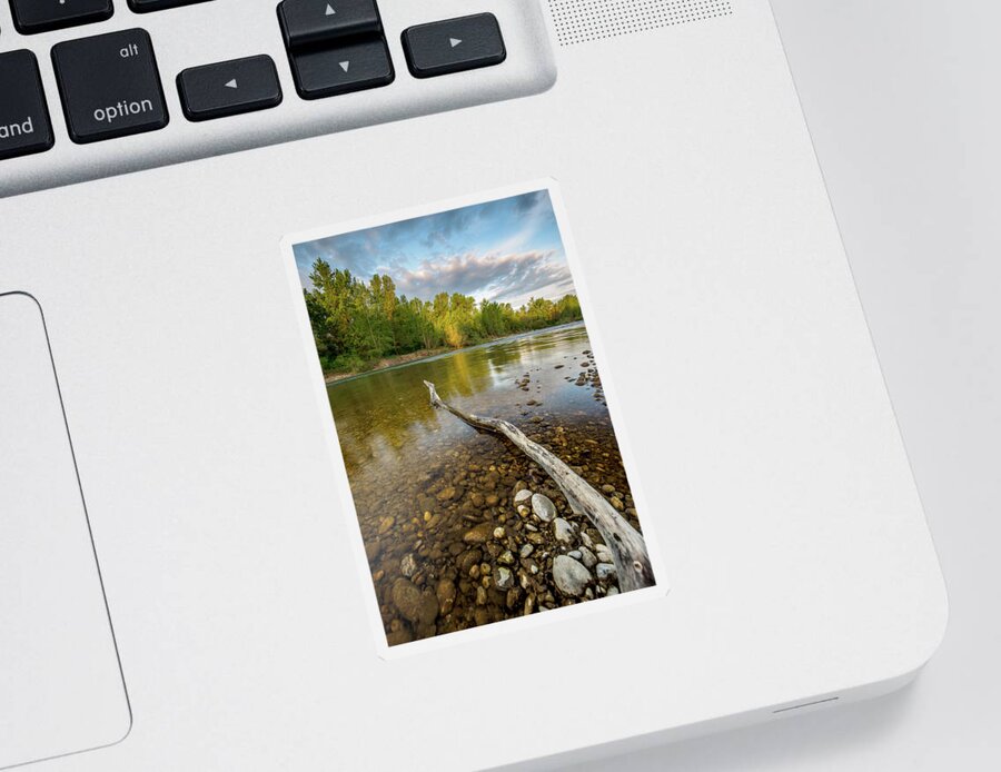 Spring Sticker featuring the photograph Spring morning on river by Davorin Mance
