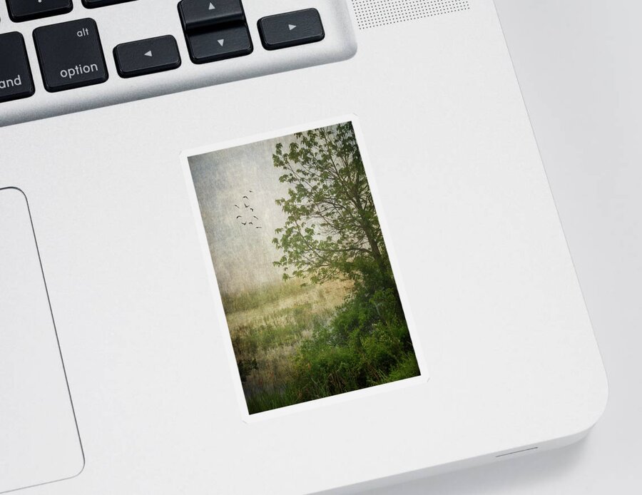 Sunrise Sticker featuring the photograph Spring Sunrise In The Valley by Dale Kincaid