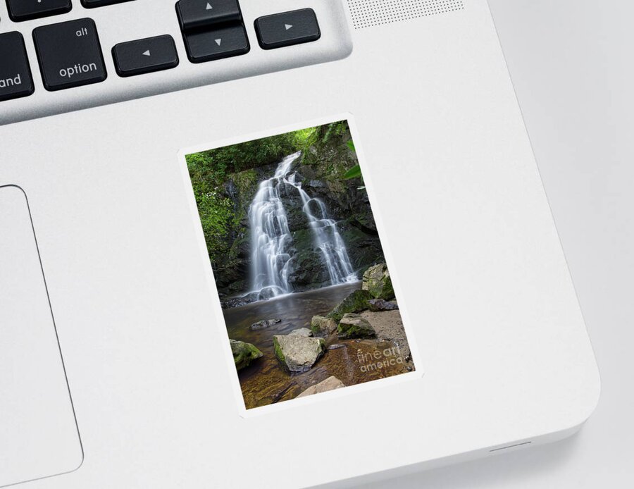 Tennessee Sticker featuring the photograph Spruce Flats Falls 18 by Phil Perkins