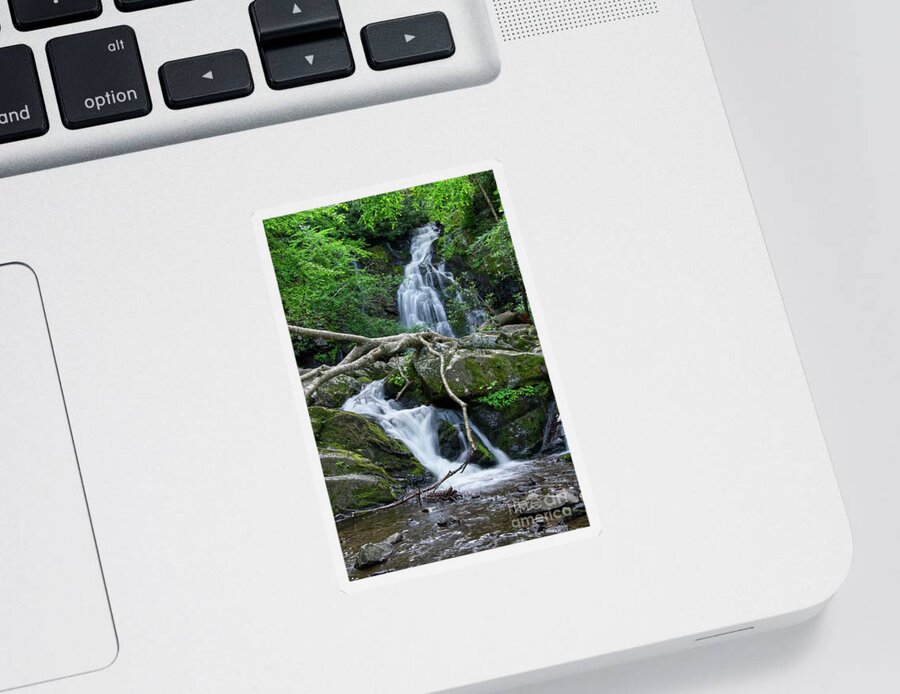 Spruce Flats Falls Sticker featuring the photograph Spruce Flats Falls 20 by Phil Perkins