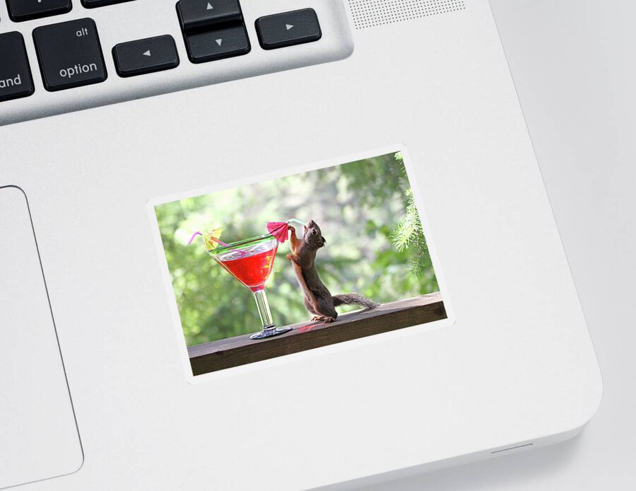Squirrels Sticker featuring the photograph Squirrel at Cocktail Hour by Peggy Collins